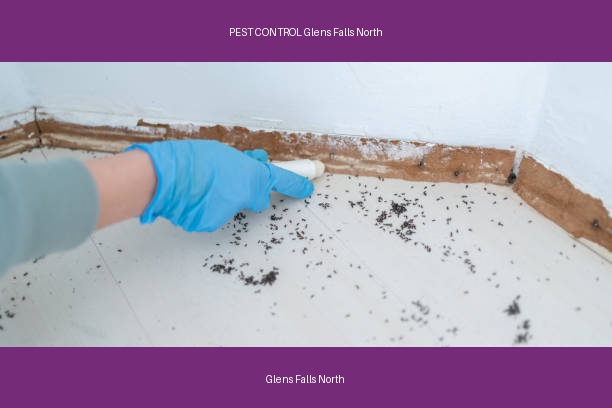 PEST CONTROL Glens Falls North